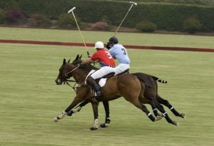 Play polo