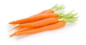 carrot