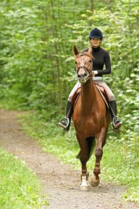 horse riding