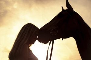 horse love