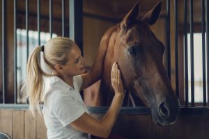 How to scrub up like a show pony