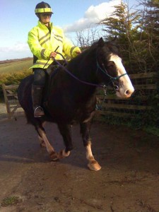 Jack, with owner Susan.