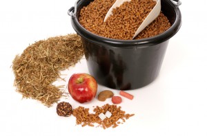 Horse Treats, Hay And Grain