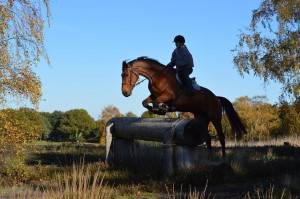 Flash and Sophie, over a Cross-Country fence.