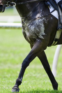 Horse Racing - Steeple Chase