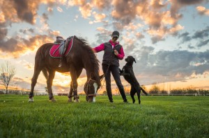 Girl and horse at sunset