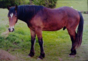 Saturn, as a 2-year-old.