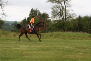 Chi at Boconnoc 2016