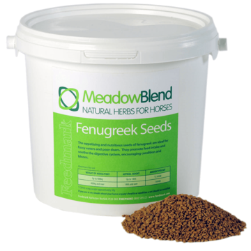 Picture of Fenugreek Seeds