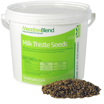 Picture of Milk Thistle Seeds