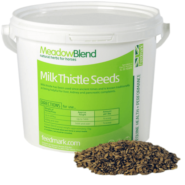 Milk Thistle Seeds képe