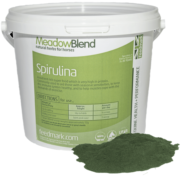 Picture of Spirulina