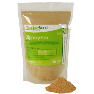 Picture of Slippery Elm