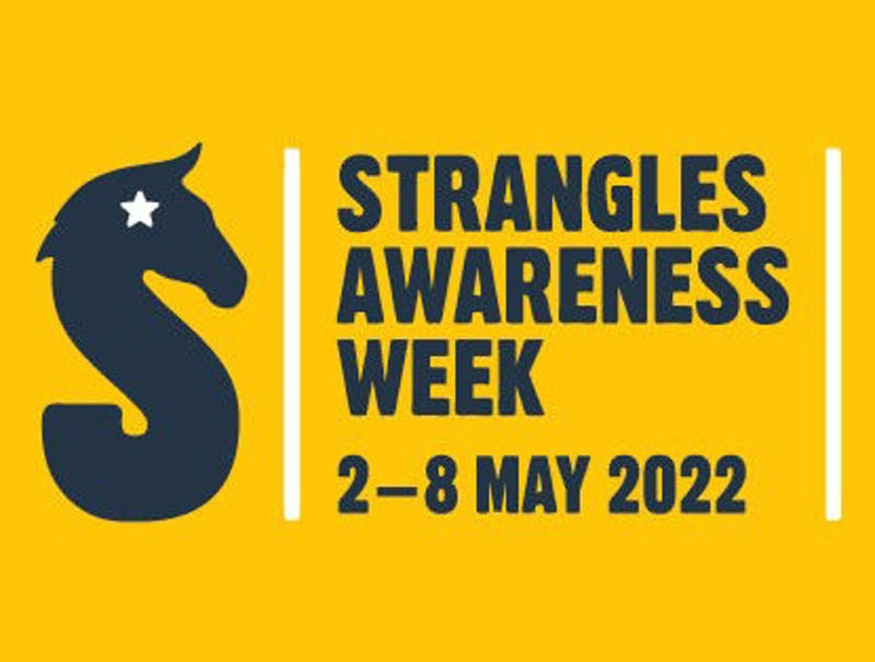 Strangles Awareness Week 2022
