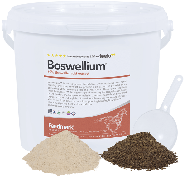 Picture of Boswellium™