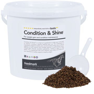 Picture of Condition & Shine™