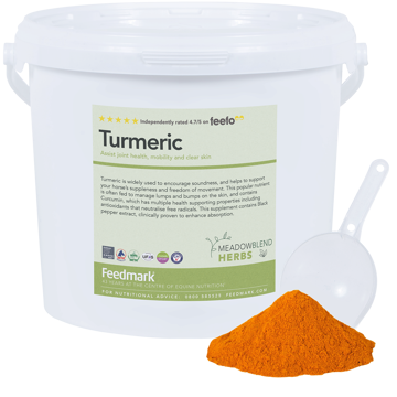 Picture of Turmeric