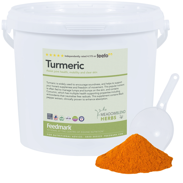 Picture of Turmeric