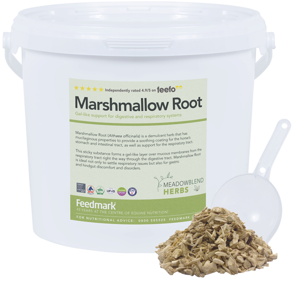 Picture of Marshmallow Root