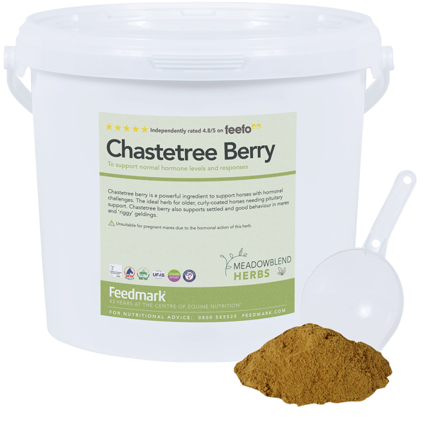 Picture of Chastetree Berry