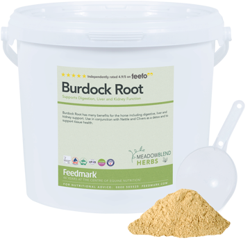 Picture of Burdock Root