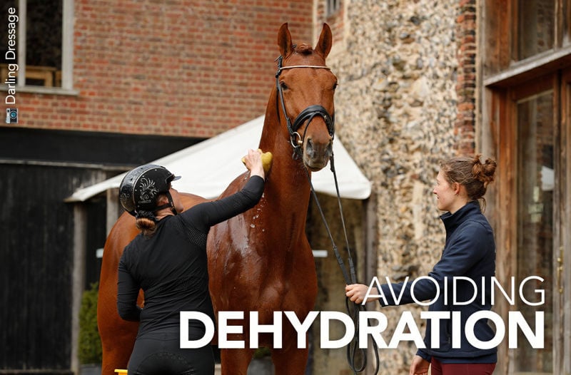 Avoiding Dehydration