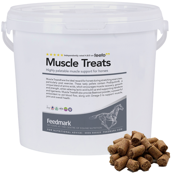 Picture of Muscle Treats