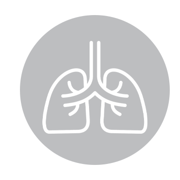 Show products in category Horse Respiratory Supplements Picture for category Horse Respiratory Supplements