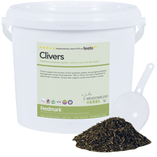 Picture of Clivers