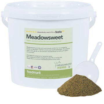Picture of Meadowsweet