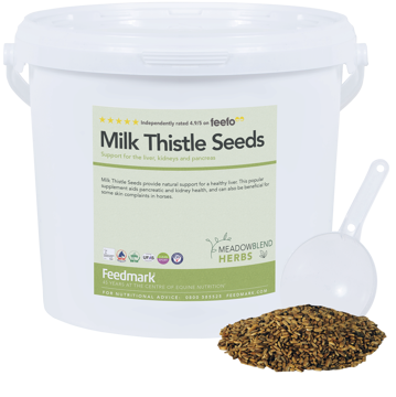 Picture of Milk Thistle Seeds