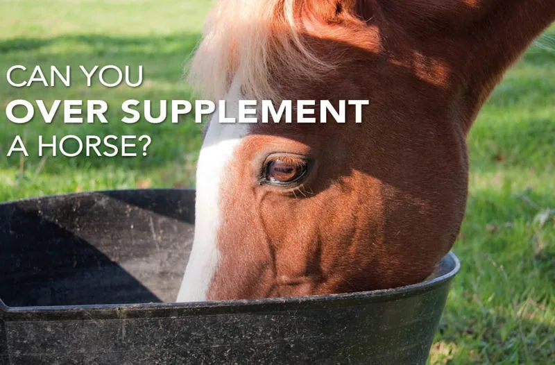 Can you over supplement a horse? - Equine Science Matters™