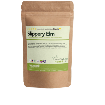 Picture of Slippery Elm