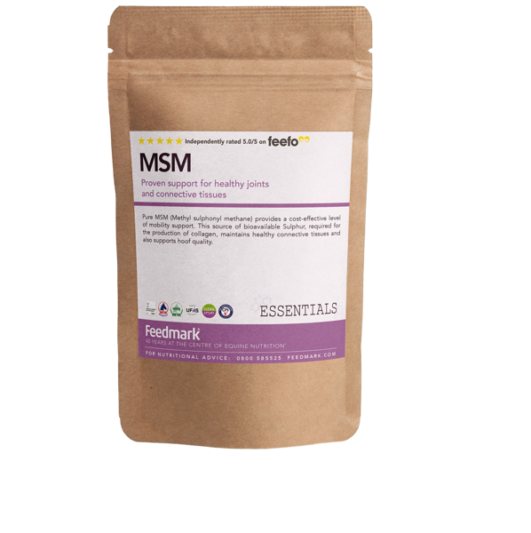 MSM Product Image