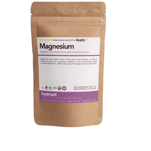 Picture of Magnesium