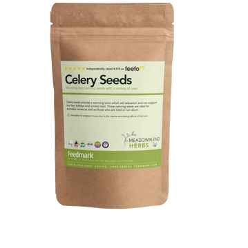 Picture of Celery Seed