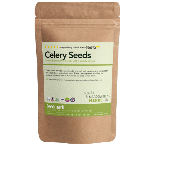 Picture of Celery Seed
