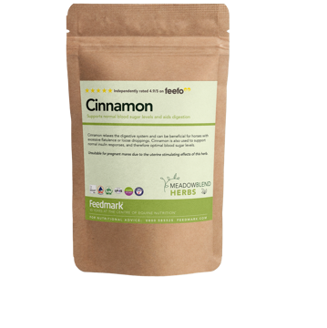Picture of Cinnamon