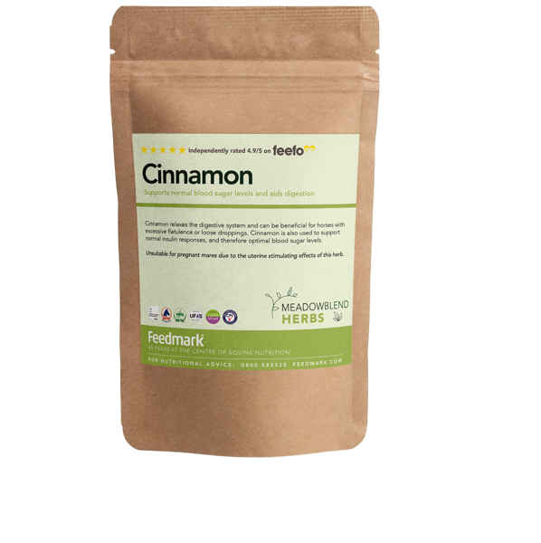 Picture of Cinnamon