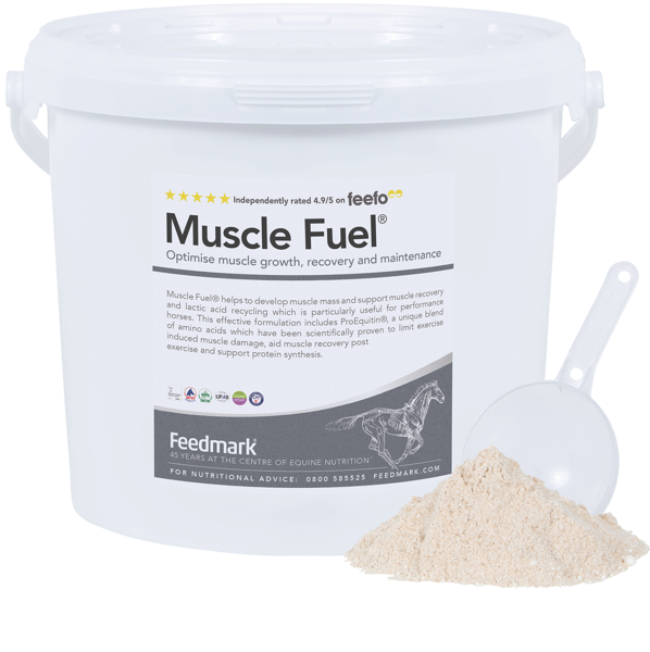 Picture of Muscle Fuel®