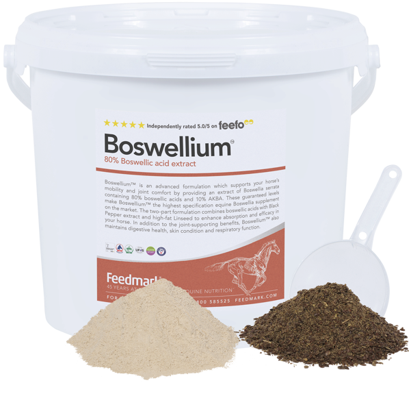 Boswellium™ Product Image 2025