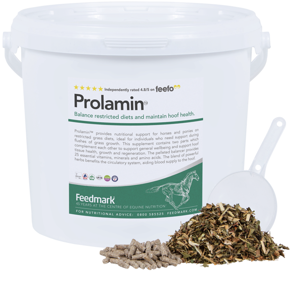 Prolamin Product Image 2025