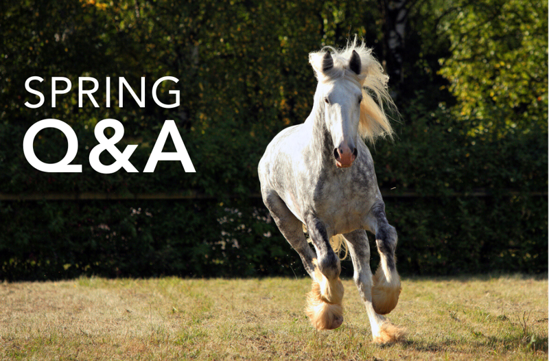 Spring challenges Q&A - Feedmark's Nutritionist Shares Key Advice ...