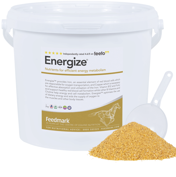 Energize™  Horse Energy Supplement