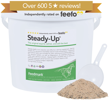Steady-Up  horse calming supplement product image 600 reviews