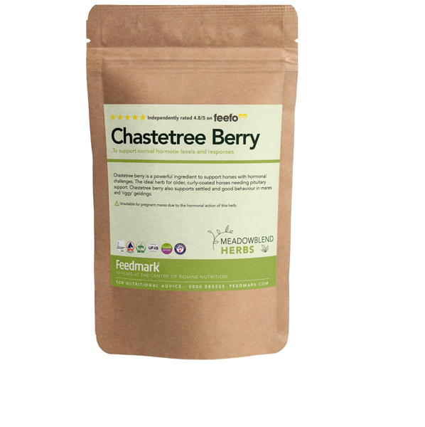 Chastetree Berry for horses product image