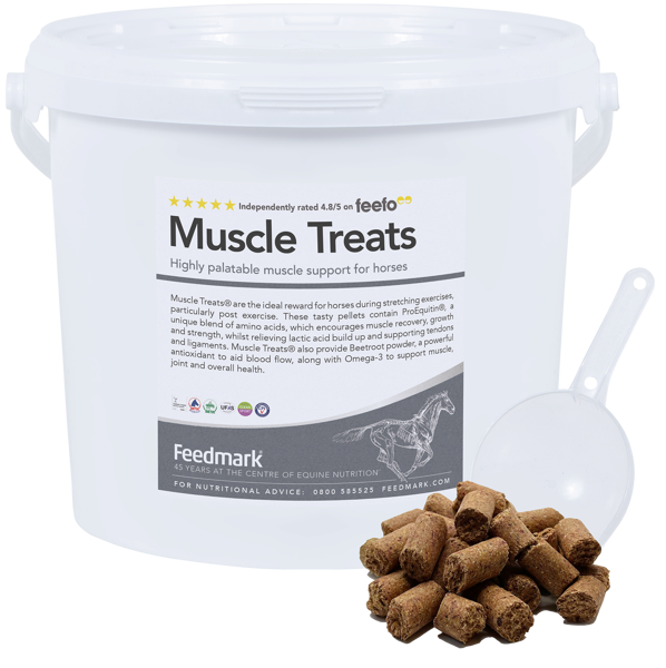 treats, muscle treats, muscle support 