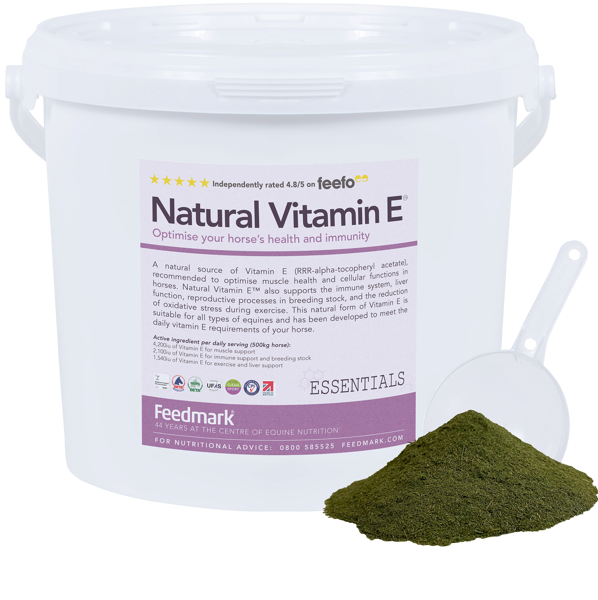 All Natural Vitamin E supplement for immune system health