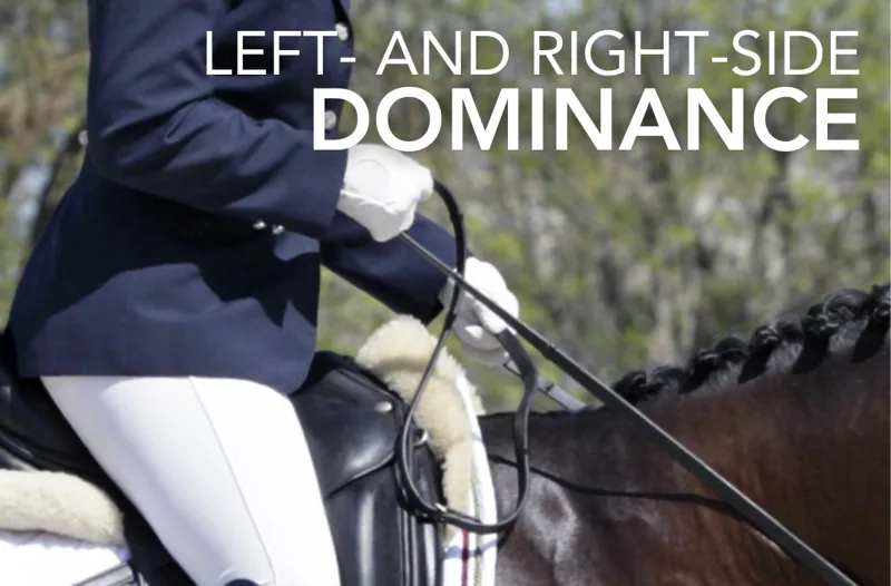 Left- and Right-Side Dominance - Equine Science Matters™
