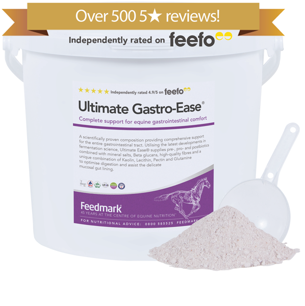 Ultimate Gastro-Ease Gastric Supplement for horses Product Image